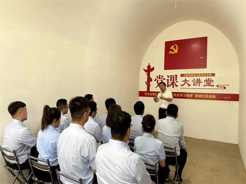 榆神電力公司開展“學(xué)黨章、悟思想、強(qiáng)黨性、善作為”主題黨日活動（3）.jpg